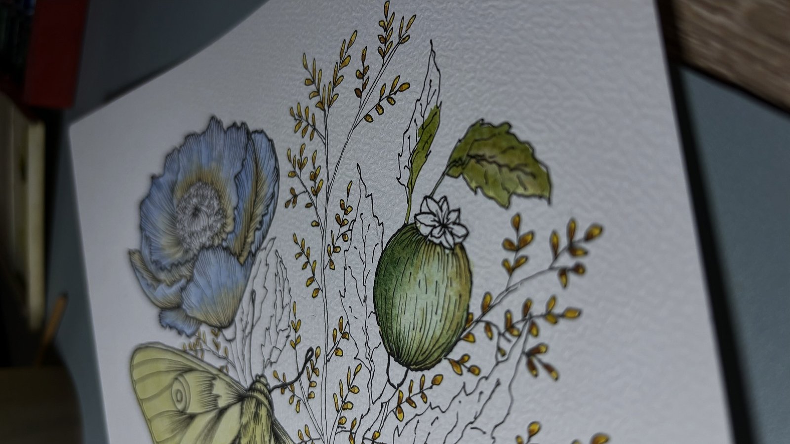 Aquarelle et encre d'Angelina Spark : coquelicot bleu, papillon de nuit, fruit et herbes des champs